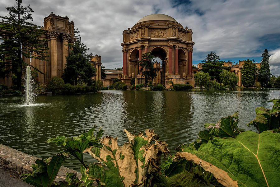 Palace of Fine Arts by James L Bartlett Palace of Fine Arts by James L Bartlett