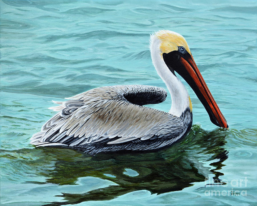 Palacios Bay Pelican Painting by Jimmie Bartlett