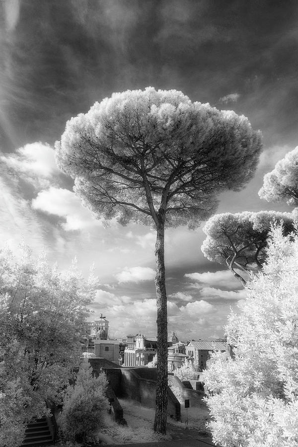 Palantino Hill infrared Photograph by Murray Rudd
