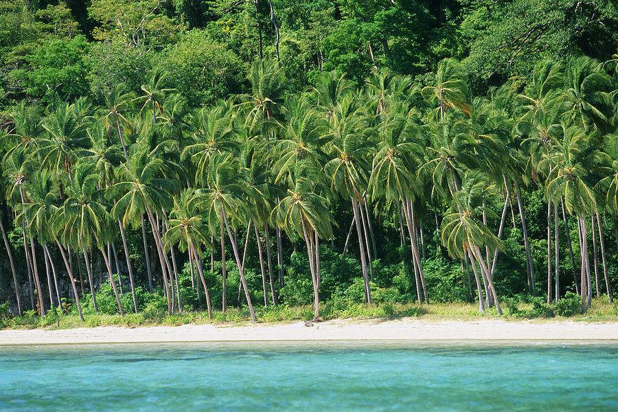Palawan Island, Philippines (near El Nido) Photograph by Peter Adams