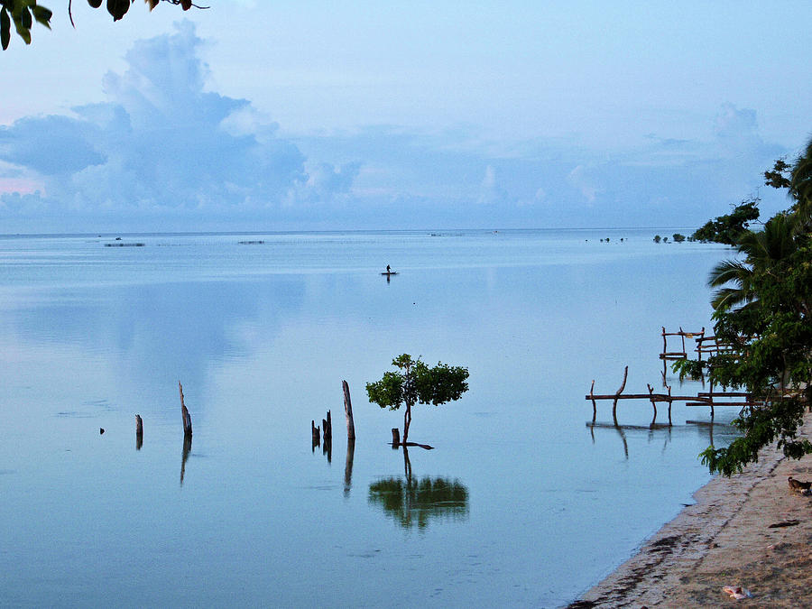 Palawan Reflections Photograph by David Desautel