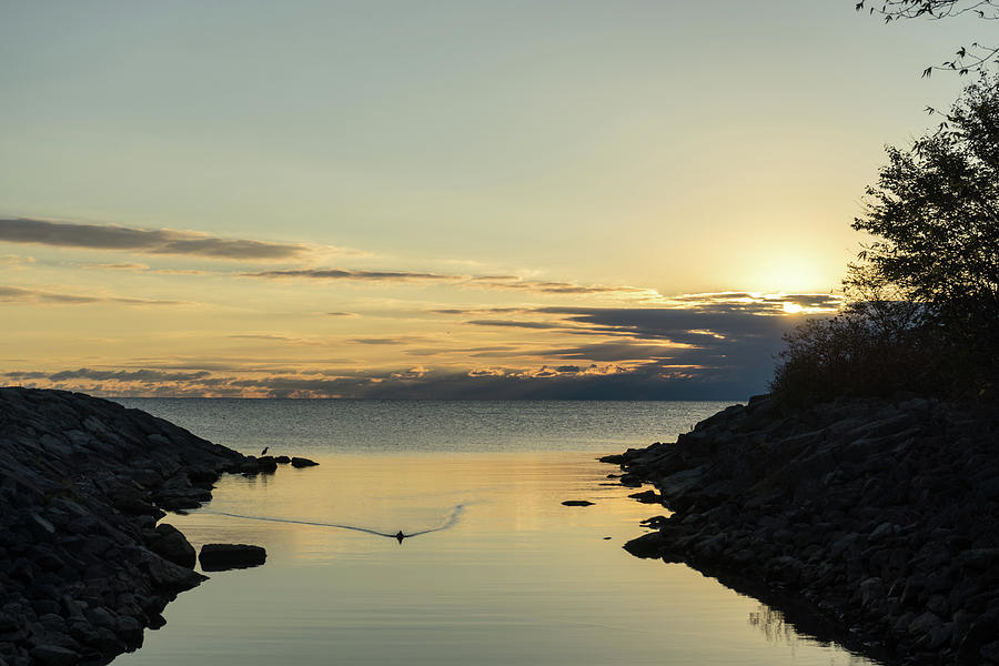 Pale Gold Peacefulness - Sunrise over Lake Ontario in West End Toronto Photograph by Georgia Mizuleva