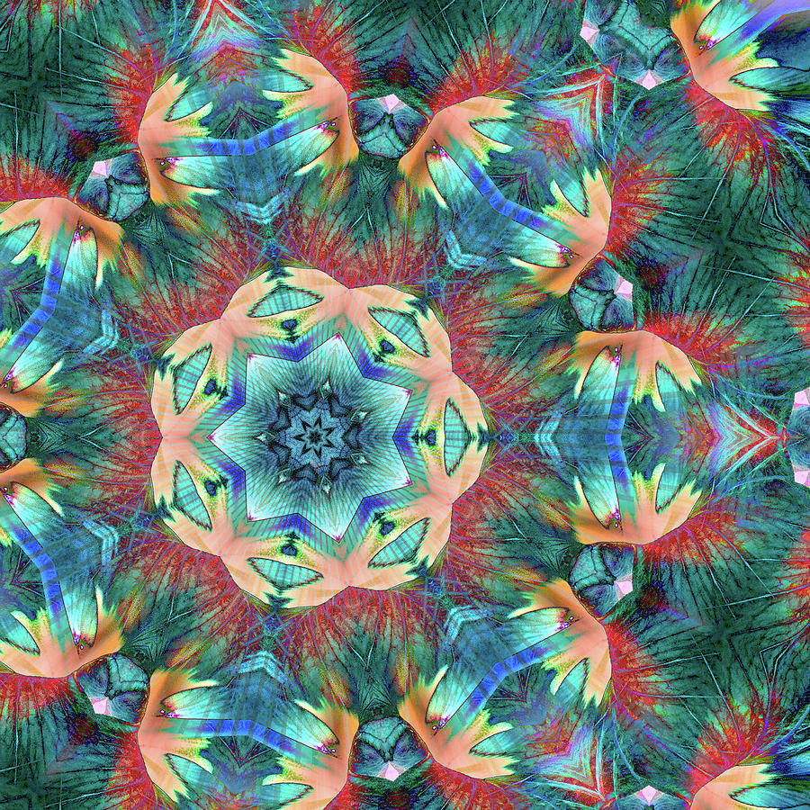 Pale Hibiuscus Mandala Digital Art by Dave Turner