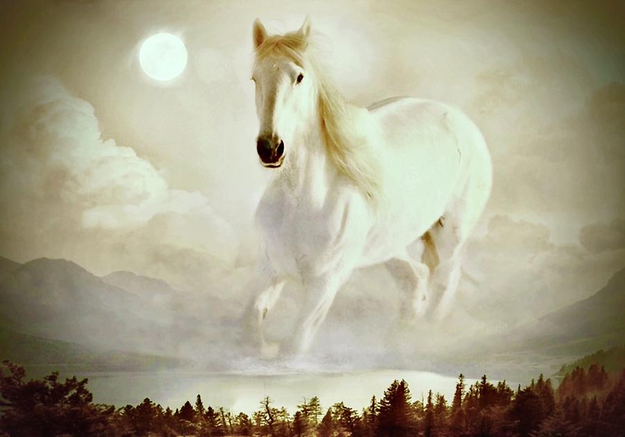 Pale Horse Mixed Media - Pale Horse by KaFra Art Pale Horse Mixed Media - Pale Horse by KaFra Art