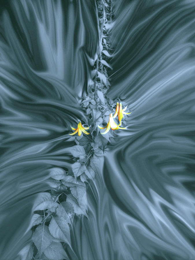 Pale Lilies in a Platinum Storm Photograph by Wayne King