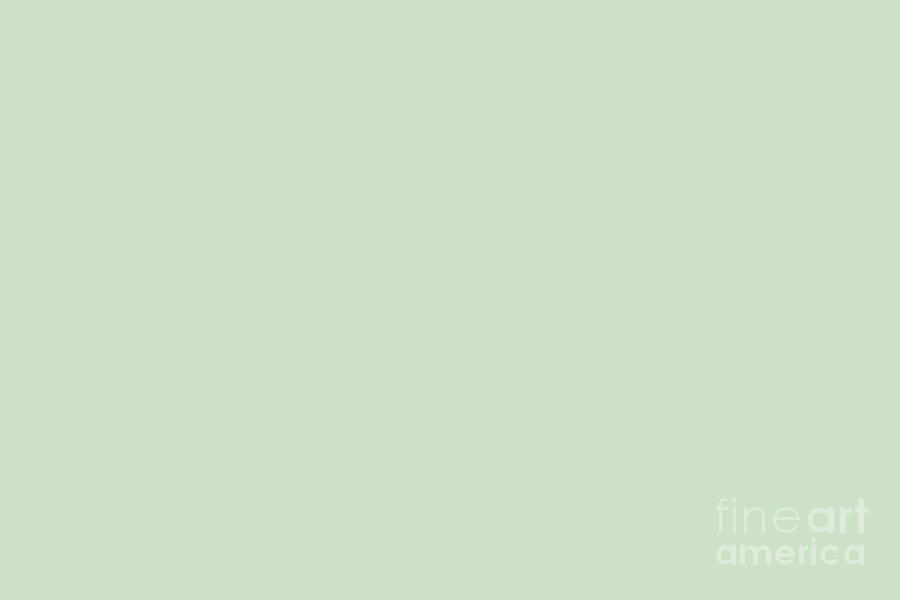 Pale Pastel Green Solid Color Pairs 2023 Trending Hue DunnEdwards Soft