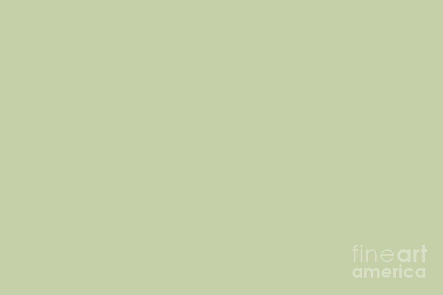 Pattern Digital Art - Pale Pastel Green Yellow Solid Color Pairs To Sherwin Williams Baize Green SW 6429 by PIPA Fine Art - Simply Solid