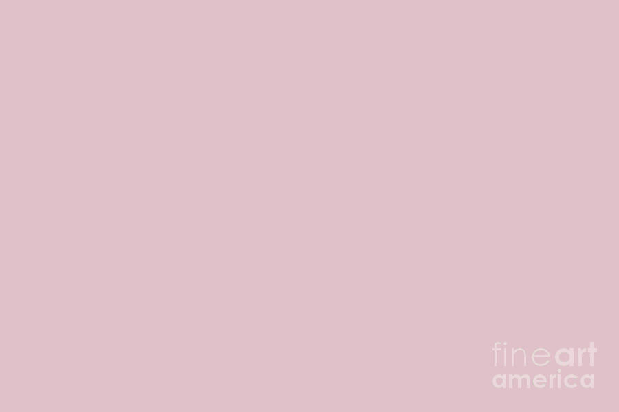 Pale Pastel Pink Solid Color Hue Shade - Patternless 4 Digital Art by ...