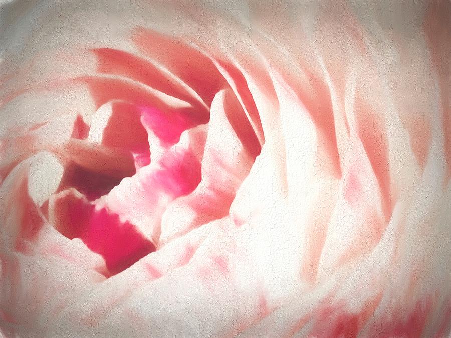 Pale Pink Ranunculus Flower Photograph by Rebecca Herranen