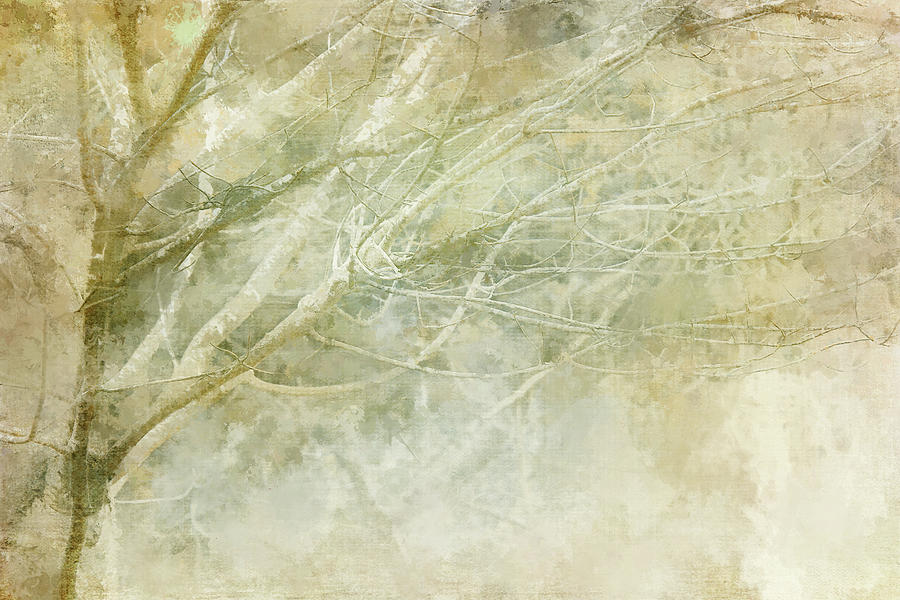 Abstract Digital Art - Pale Winter by Terry Davis