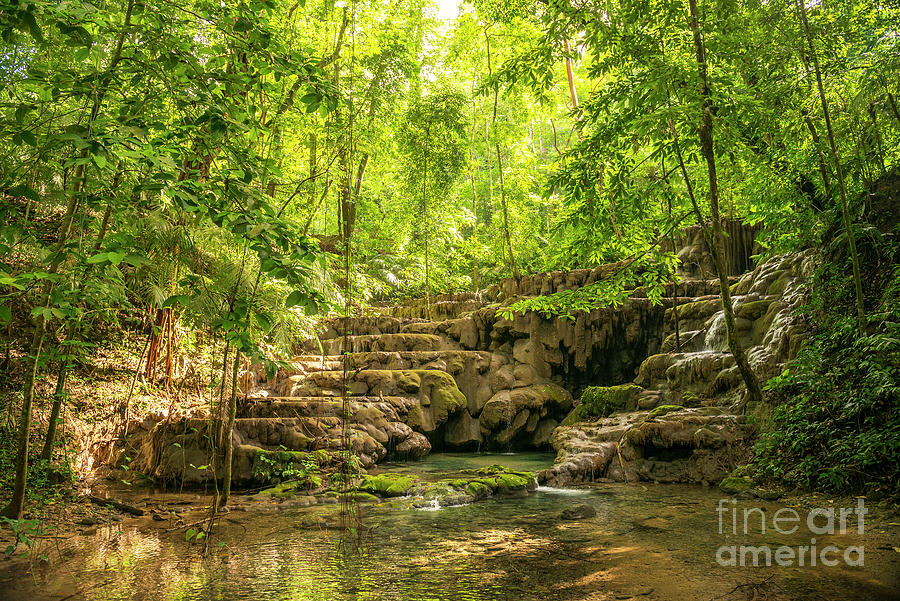 Jungle Photograph - Palenque Waterfall by THP Creative