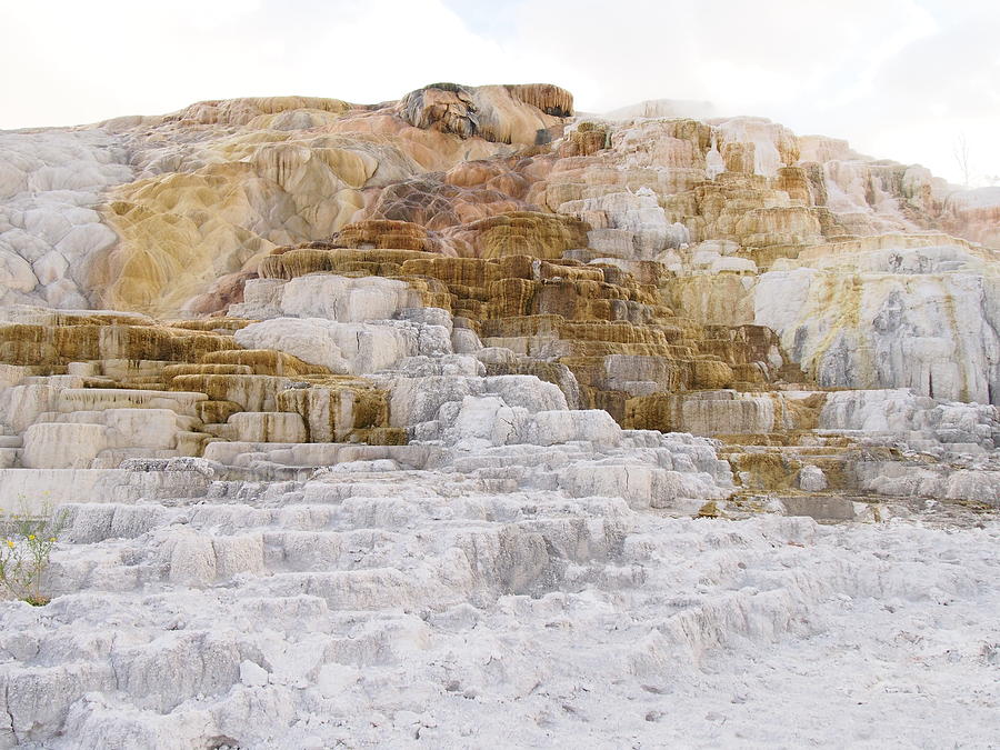 Palette Spring Photograph By Hatsumi Yoshida 