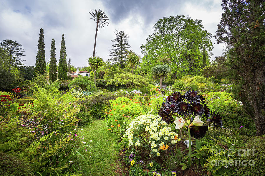 Palheiro Gardens Photograph by Eva Lechner