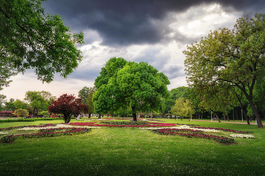 Palic Great park in the spring Photograph by Dejan Travica Palic Great park in the spring Photograph by Dejan Travica