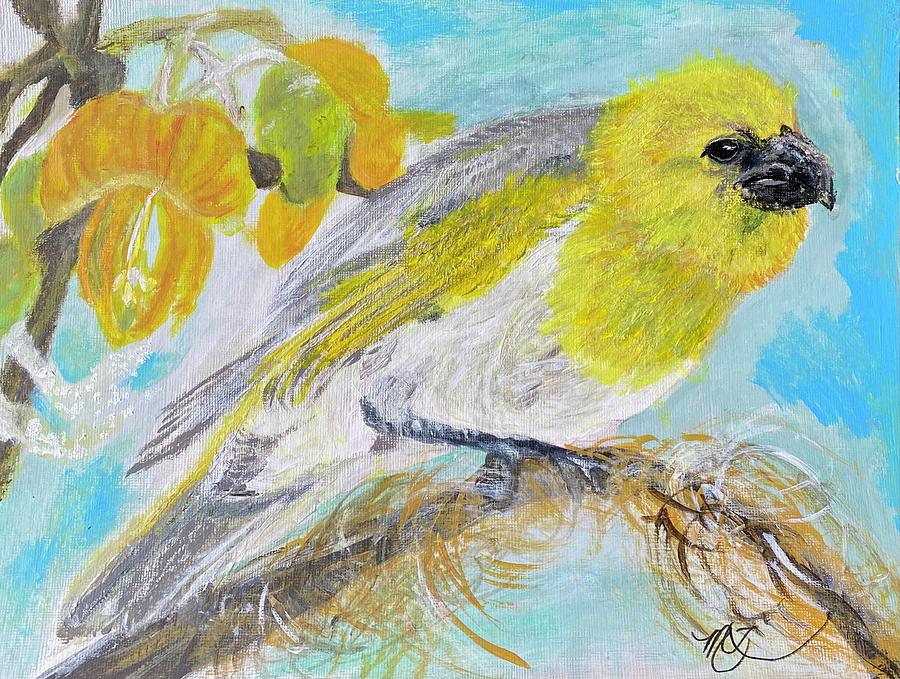 Palila in the Mamane Tree Painting by Melody Fowler