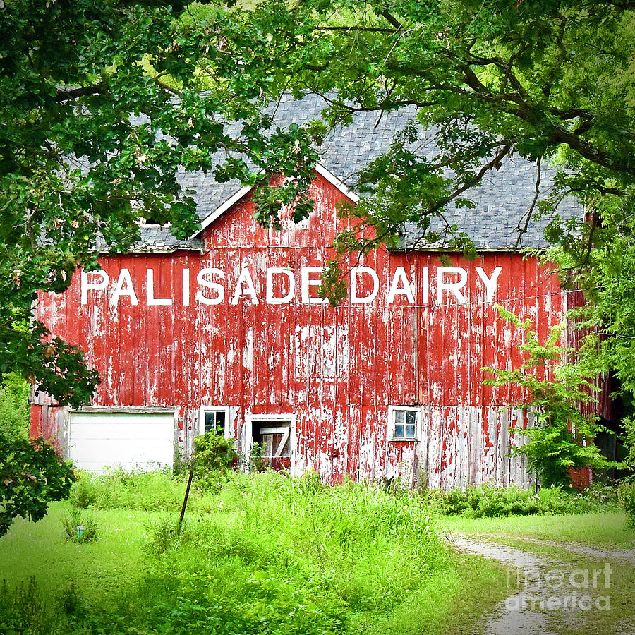 Palisade Dairy - Square Photograph by Linda Brittain