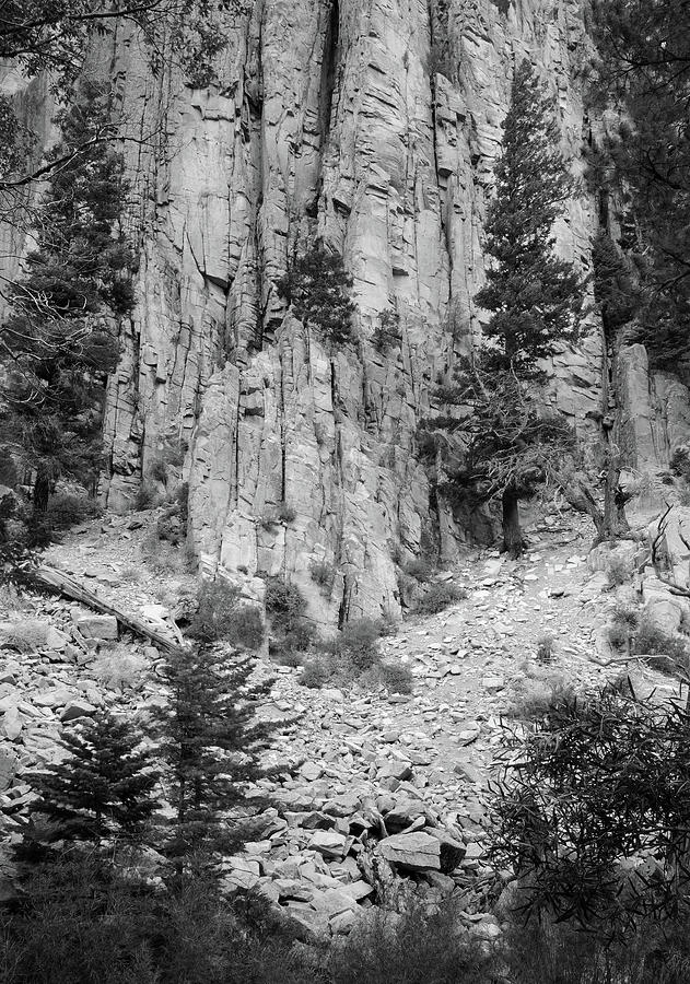 Palisades 2, Northern New Mexico Photograph by Richard Porter