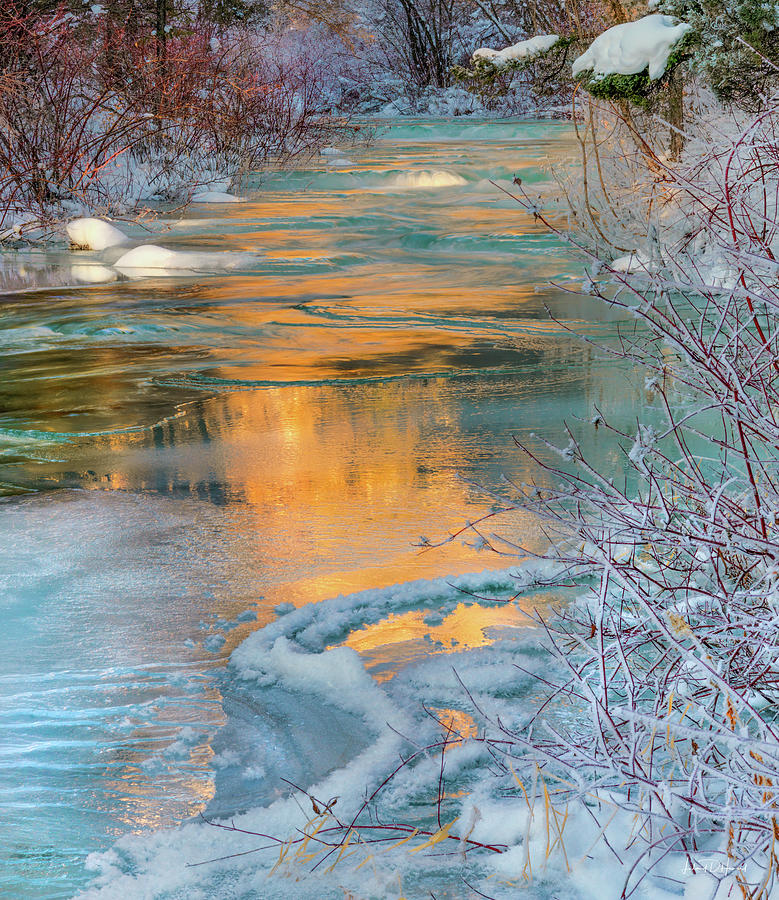 Palisades Creek Winter Idaho Photograph by Leland D Howard