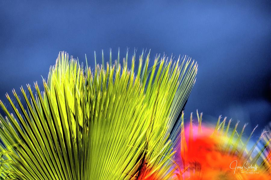 Palm and Flower Photograph by Jerry Sodorff