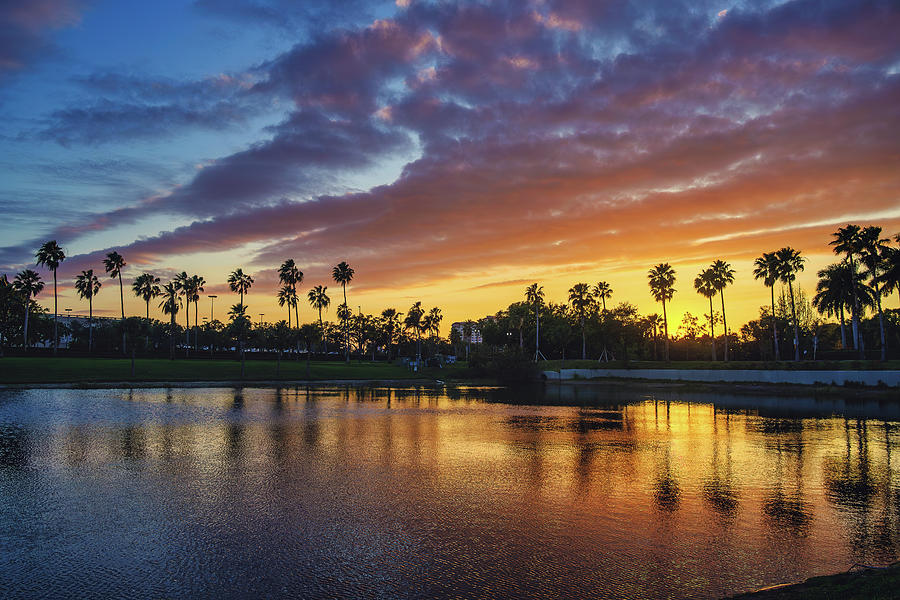 Palm Beach Gardens Sunset at Gardens Parkway Lake Photograph by Kim Seng