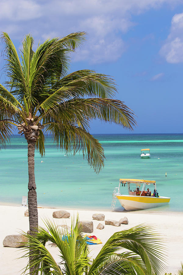 Palm Beach Photograph by Jane Sweeney - Fine Art America