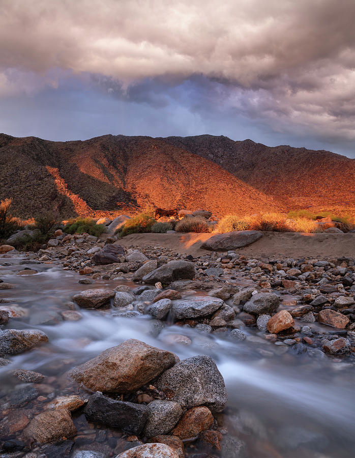 San Diego Photograph - Palm Canyon Creek and Clouds by William Dunigan
