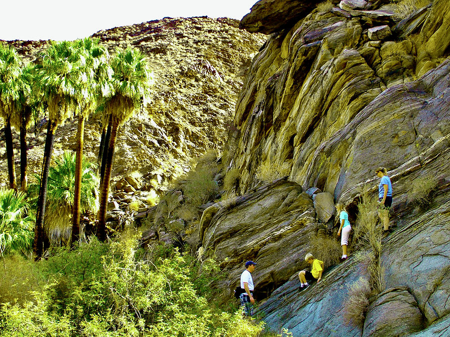 Palm Canyon in Indian Canyons near Palm Springs, California Photograph