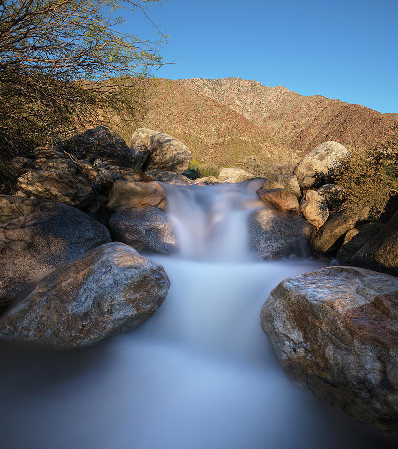 San Diego Photograph - Palm Canyon Morning Waterfall by William Dunigan