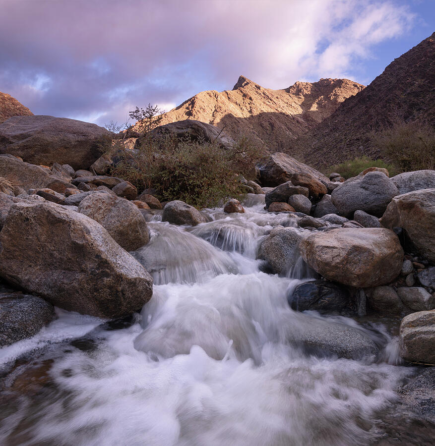 San Diego Photograph - Palm Canyon Rushing Water and Peak by William Dunigan
