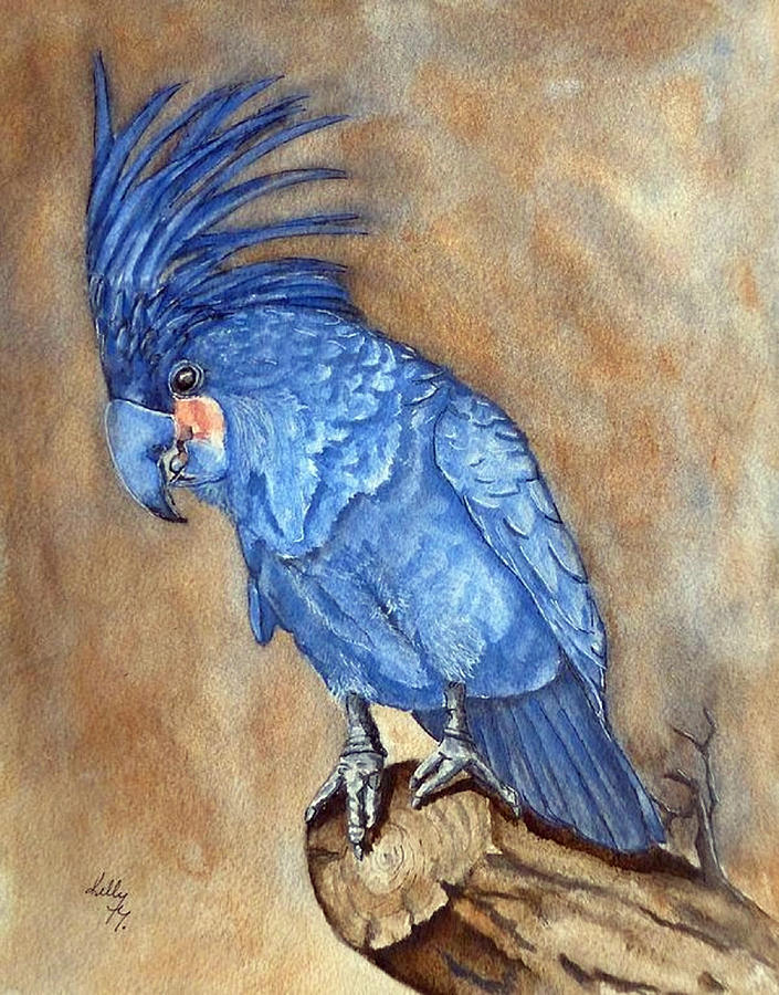 Palm Cockatoo Blue Painting by Kelly Mills