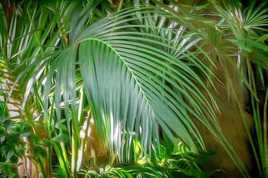 Palm Frond Digital Art by Susan Hope Finley