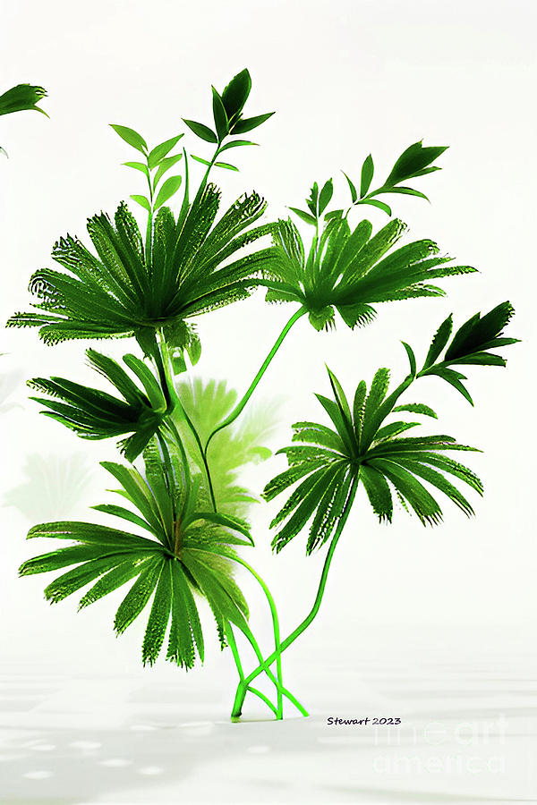 Palm Fronds Digital Art by Dr Debra Stewart