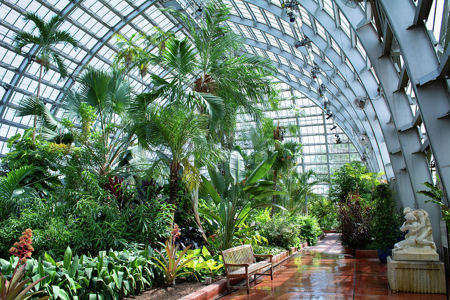 Palm House Garfield Park Conservatory Photograph by Kyle Hanson