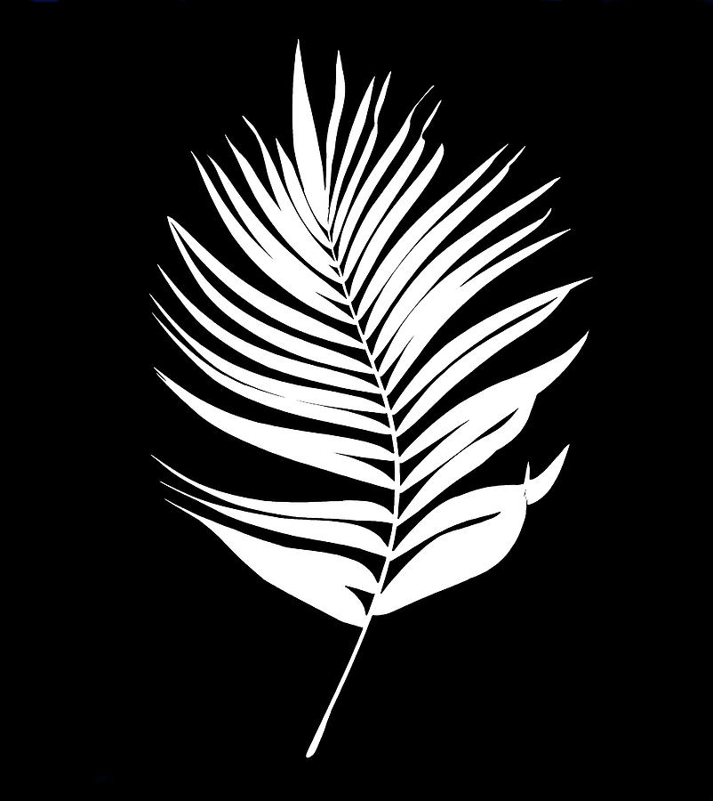 Palm leaf Design 160 Digital Art by Lucie Dumas