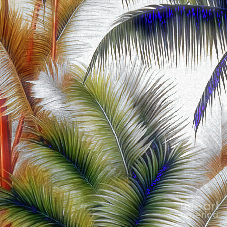 Palm Leaves  Digital Art by Elaine Manley