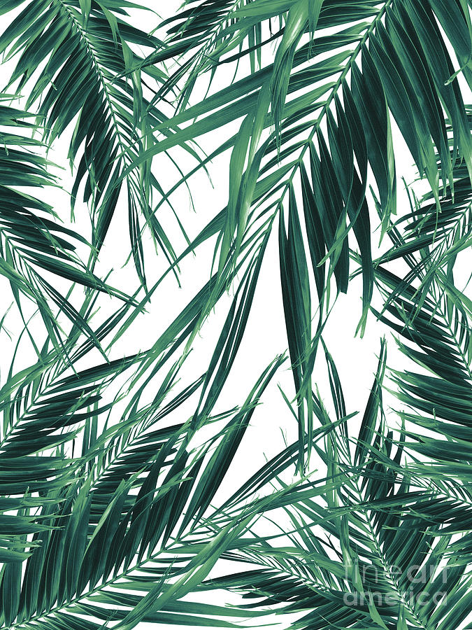 Palm Leaves Jungle - Cali Summer Vibes #3 #tropical #decor #art Mixed ...