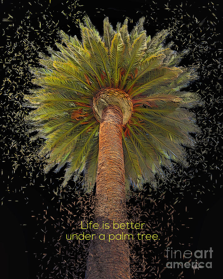 Palm Life Digital Art by Diana Rajala