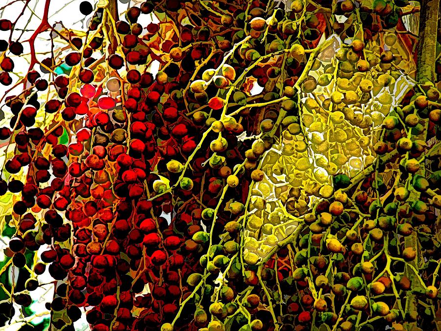 Palm Seeds Mixed Media by Joan Stratton