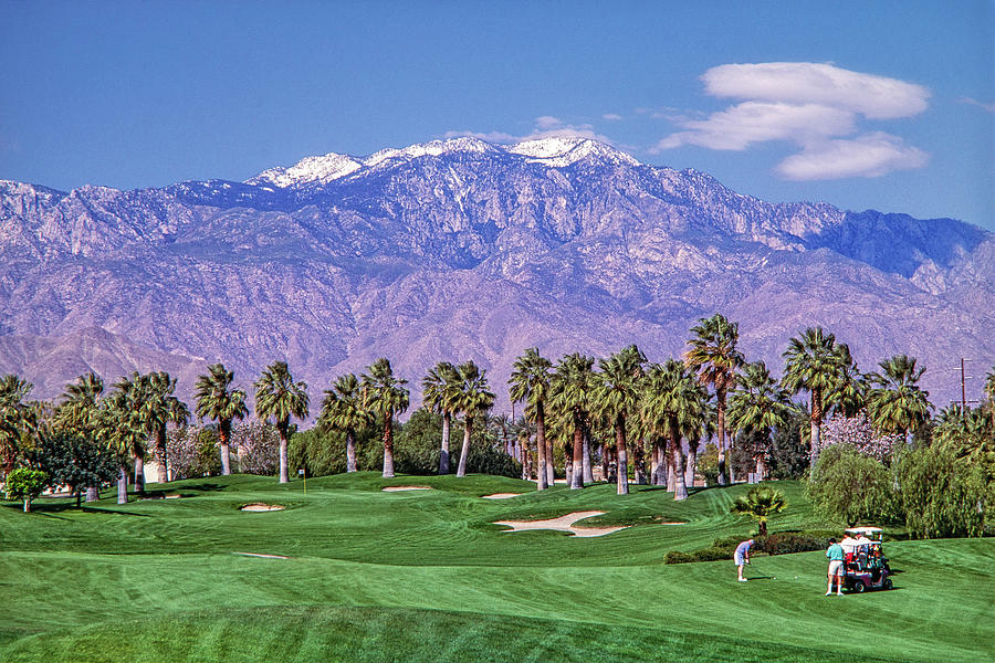 Palm Spring Golf Photograph by Peter Bennett - Fine Art America