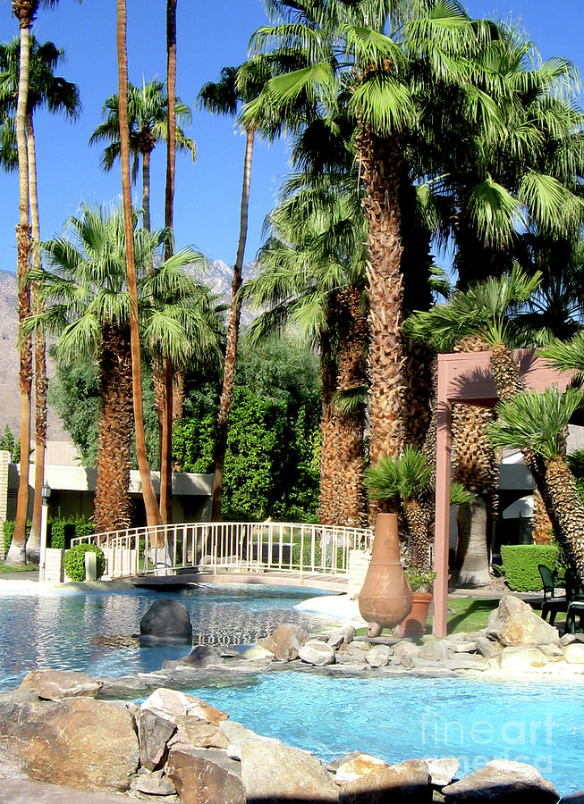 Palm Spring Oasis Photograph by Ivete Basso Photography