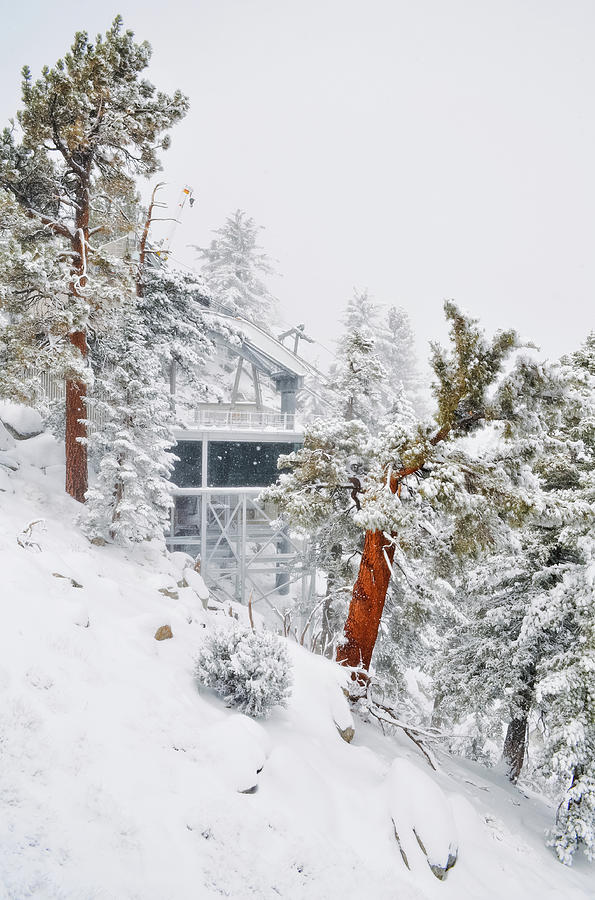 Palm Springs Aerial Tramway Mountain Station II Photograph by Kyle Hanson