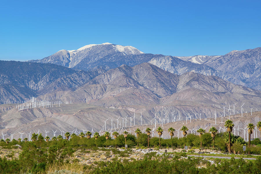 Palm Springs, California Photograph by Matthew DeGrushe