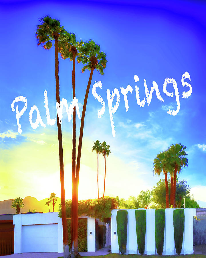 Palm Springs Modernism Photograph by Don Schimmel
