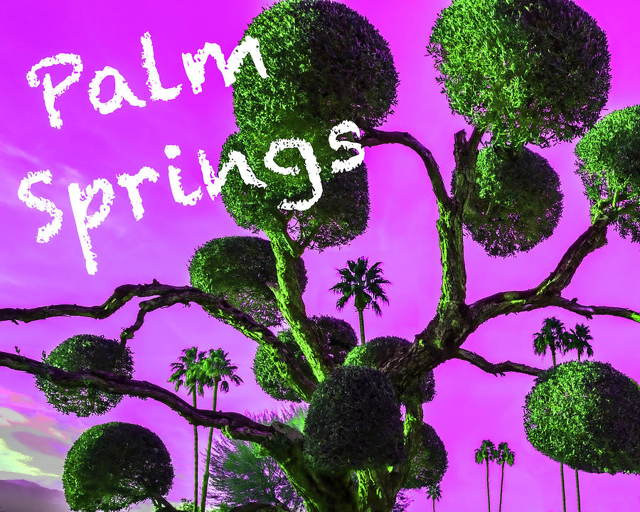 Palm Springs, Palms and Balls Photograph by Don Schimmel
