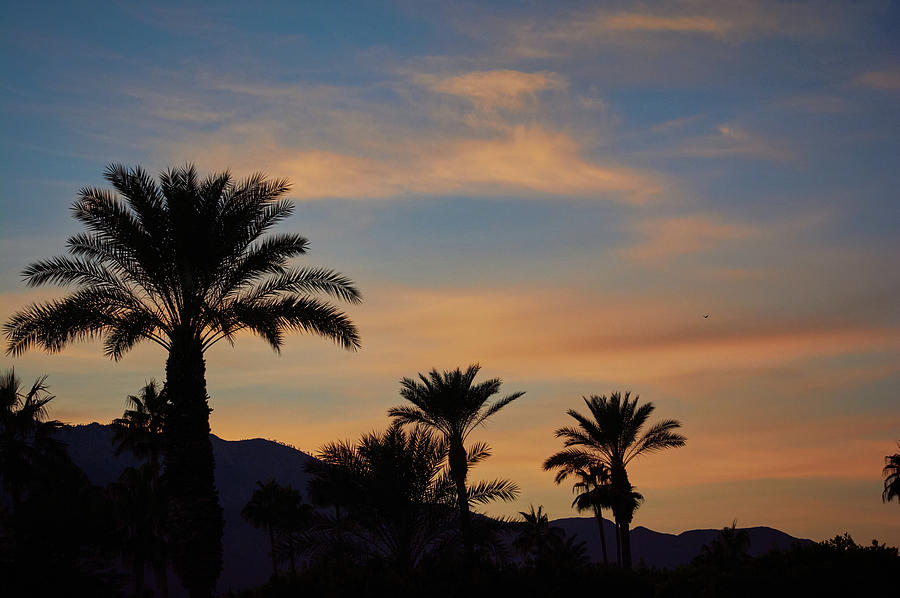 Mountain Photograph - Palm Springs Sunset by Jay Hooker