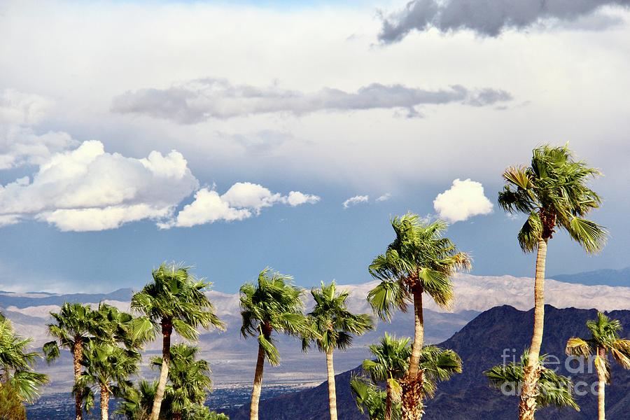 Palm Springs Wind Photograph by Suzanne Oesterling
