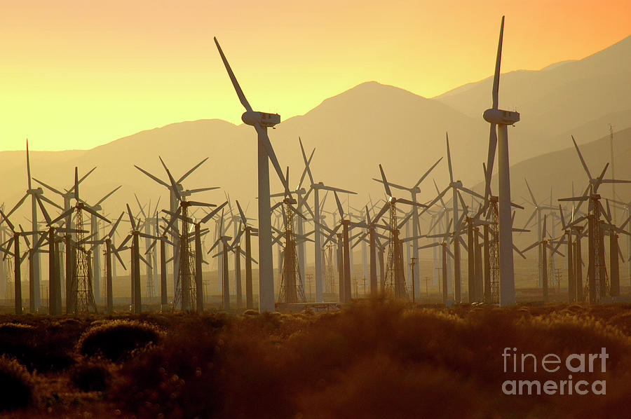 Palm Springs windmills at sunset Photograph by Gunther Allen
