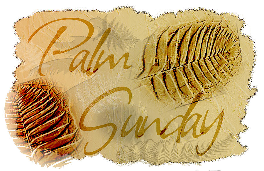 Palm Sunday 3D Fossil Design Digital Art by Delynn Addams
