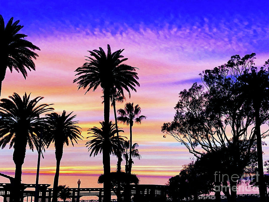 Palm Sunset - No. 1 Photograph by Doc Braham