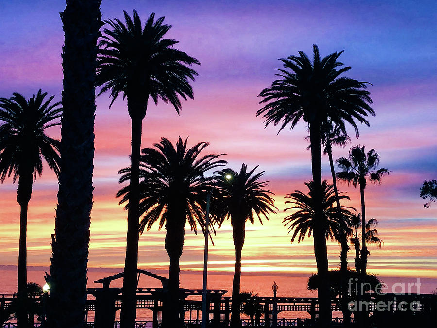 Palm Sunset - No. 2 by Doc Braham Palm Sunset - No. 2 by Doc Braham